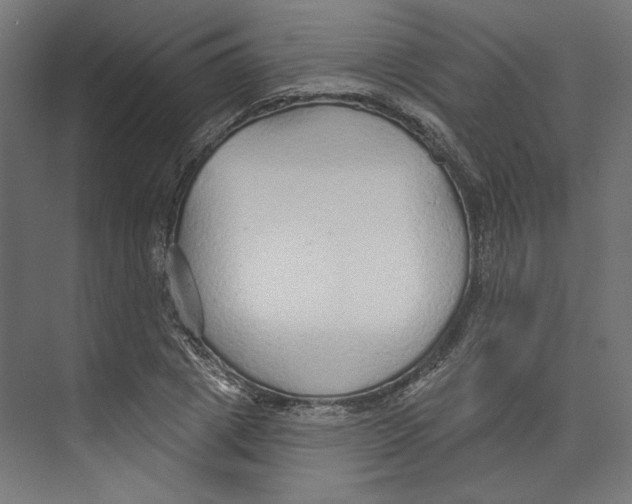 X0000073830833200609071513