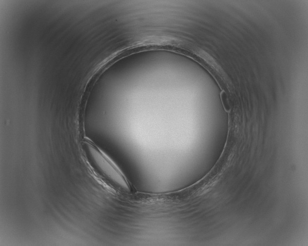 X0000073830834200609071513