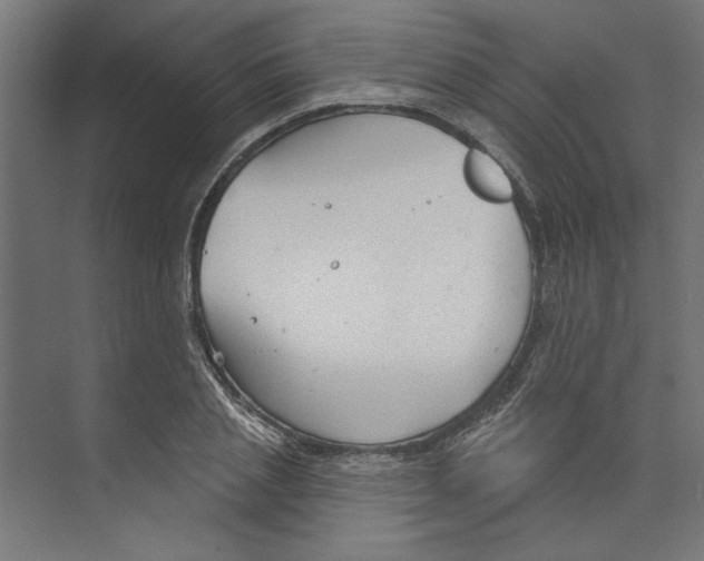 X0000073830837200609071513