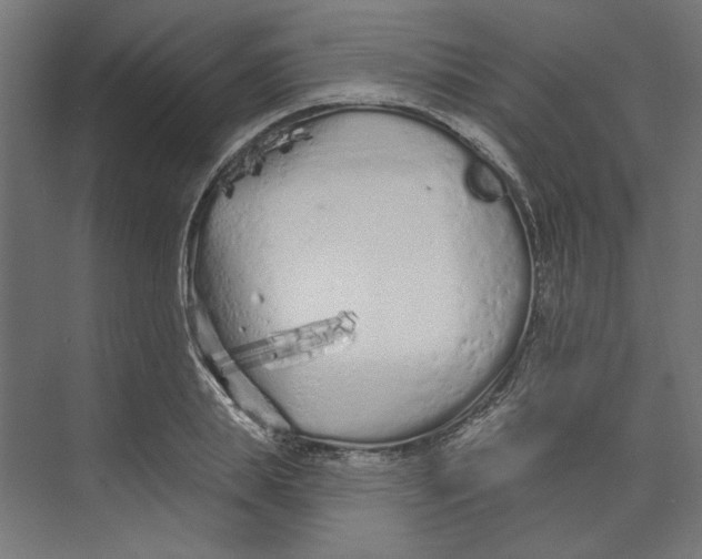 X0000073830839200609071513