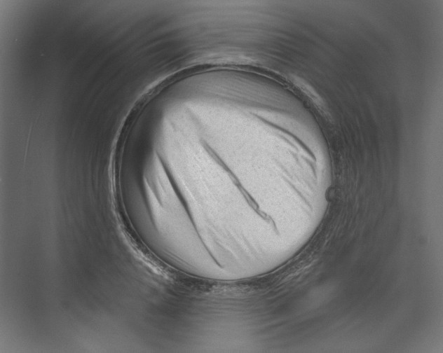 X0000073830840200609071513