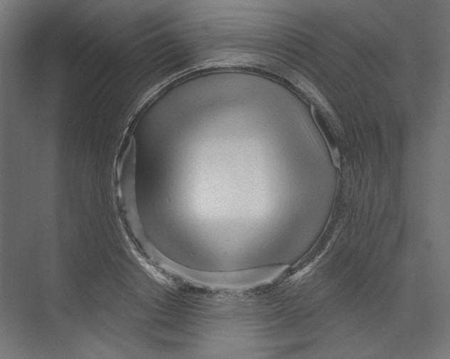 X0000073830842200609071513