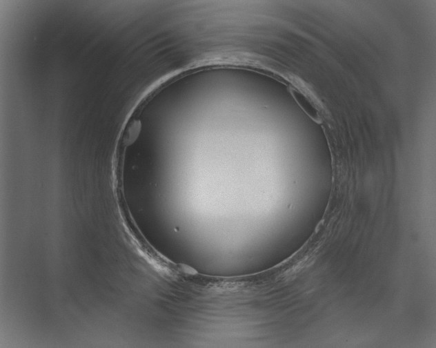 X0000073830846200609071513