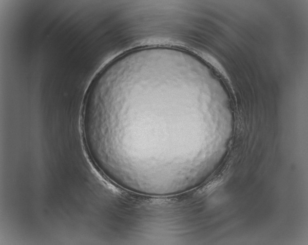 X0000073830847200609071513