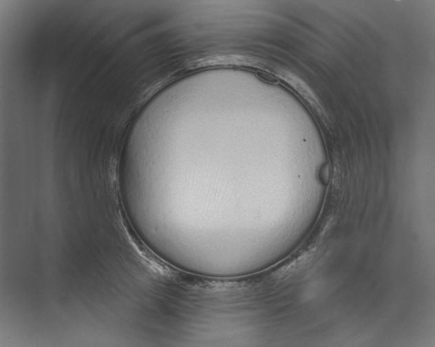 X0000073830849200609071513