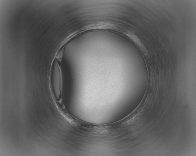 X0000073830850200609071513