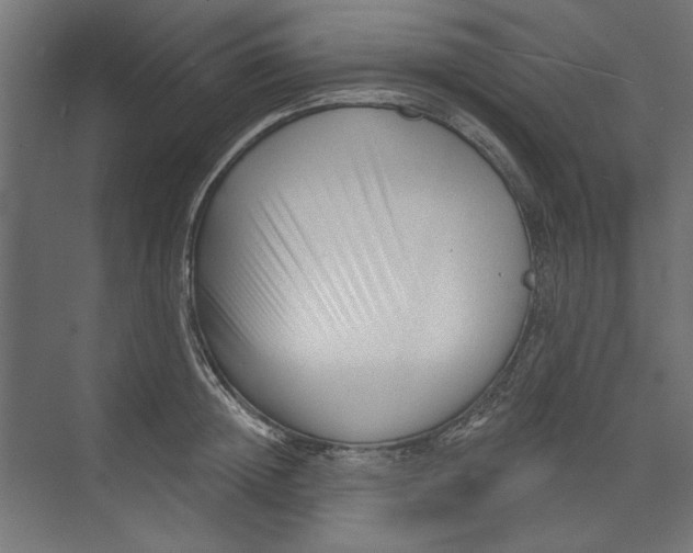 X0000073830852200609071513