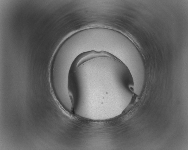 X0000073830854200609071513