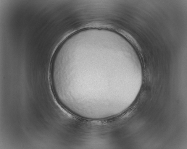 X0000073830855200609071513