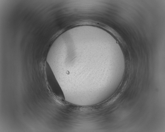 X0000073830857200609071513