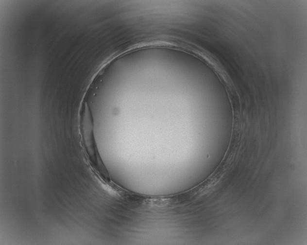 X0000073830858200609071513