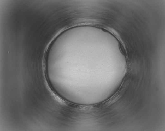 X0000073830859200609071513