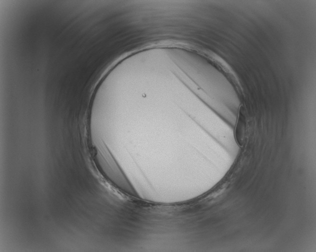 X0000073830860200609071513