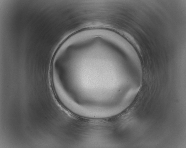 X0000073830863200609071513