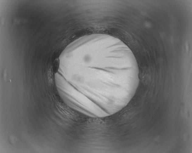 X0000073830866200609071512