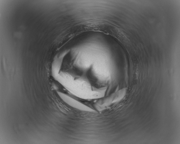 X0000073830868200609071512