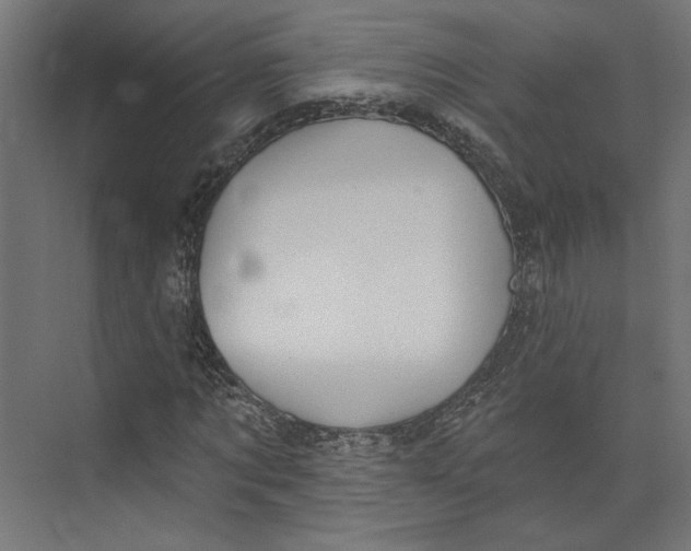 X0000073830869200609071512