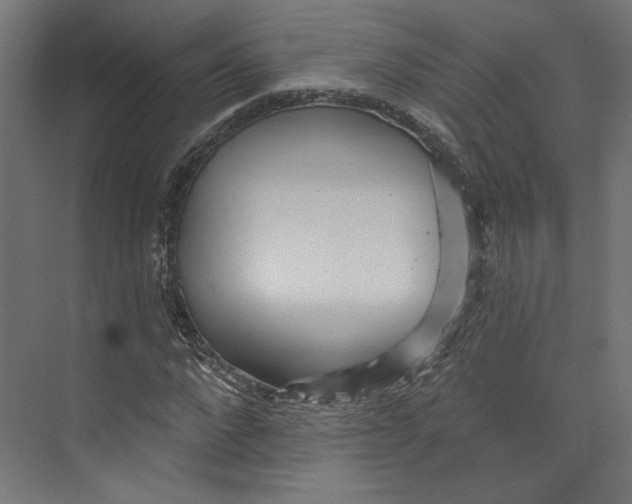 X0000073830872200609071512