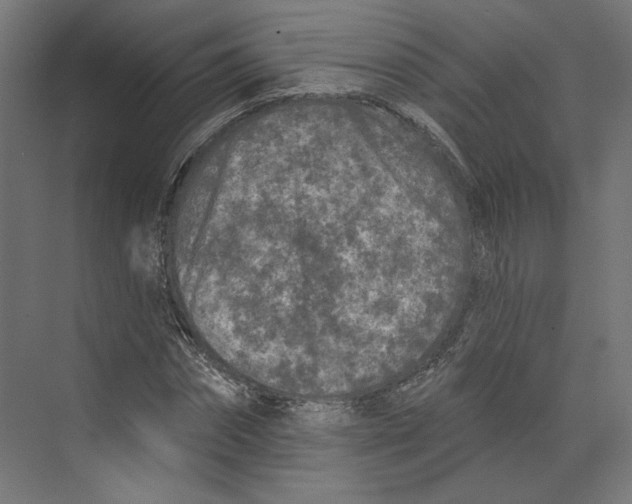 X0000073830874200609071512