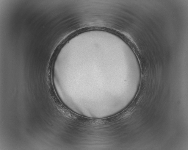 X0000073830879200609071512