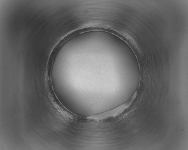 X0000073830880200609071512