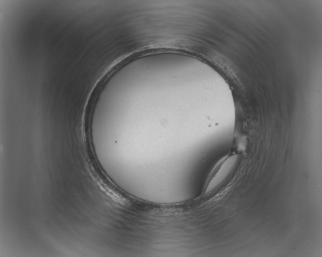 X0000073830884200609071512