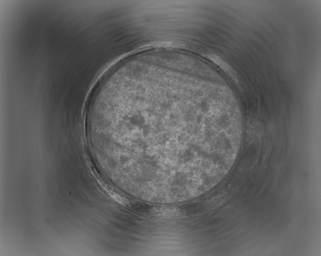 X0000073830886200609071512