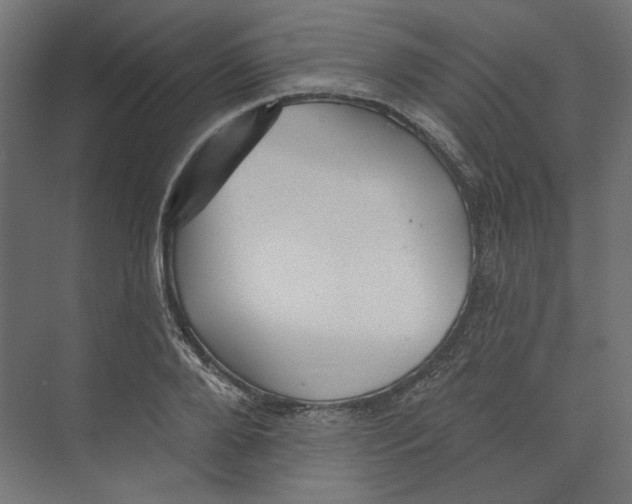 X0000073830888200609071512