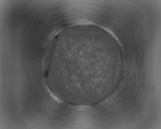 X0000073830889200609071512