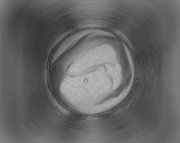 X0000073830890200609071512