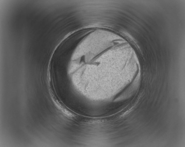 X0000073830892200609071512