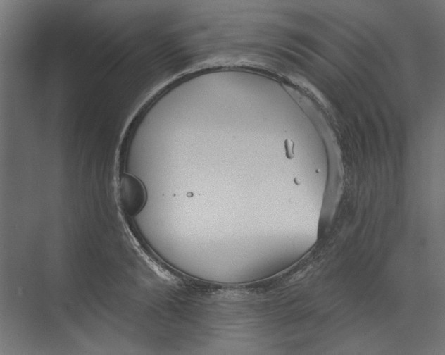 X0000073830894200609071512