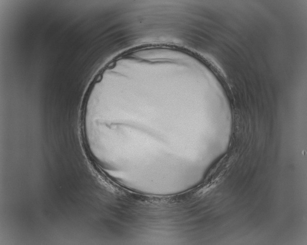 X0000073830895200609071512