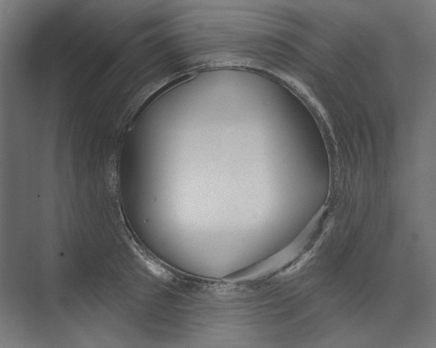 X0000073830897200609071512