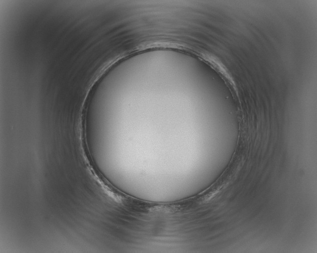 X0000073830898200609071512