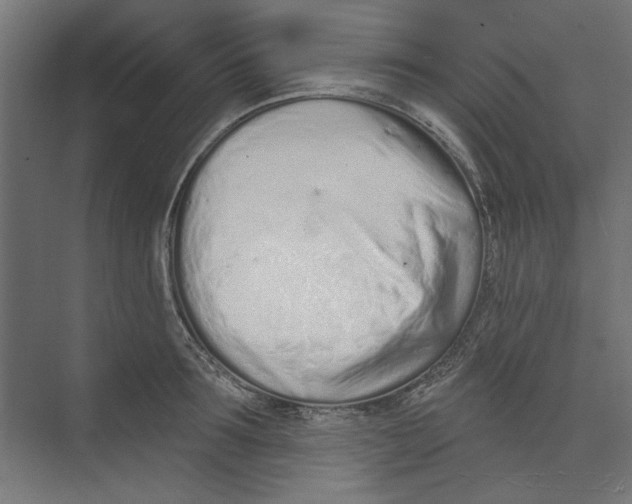 X0000073830899200609071512