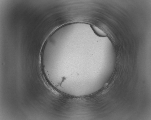 X0000073830900200609071512