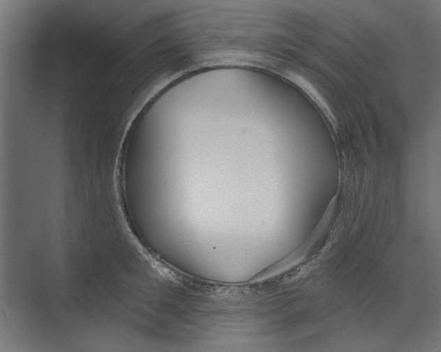 X0000073830901200609071512