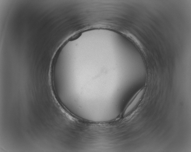 X0000073830902200609071512