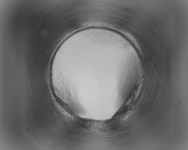 X0000073830903200609071512