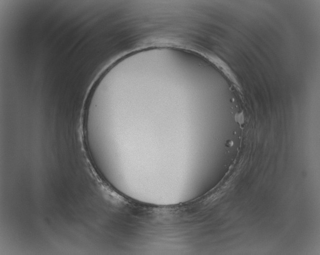 X0000073830904200609071512