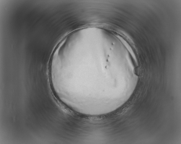 X0000073830907200609071512