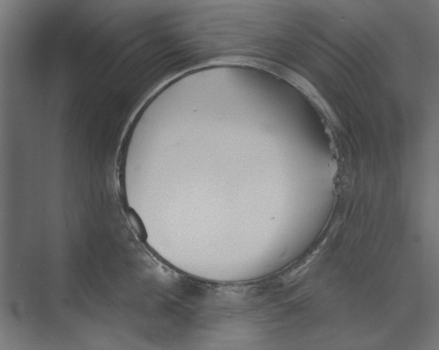 X0000073830908200609071511