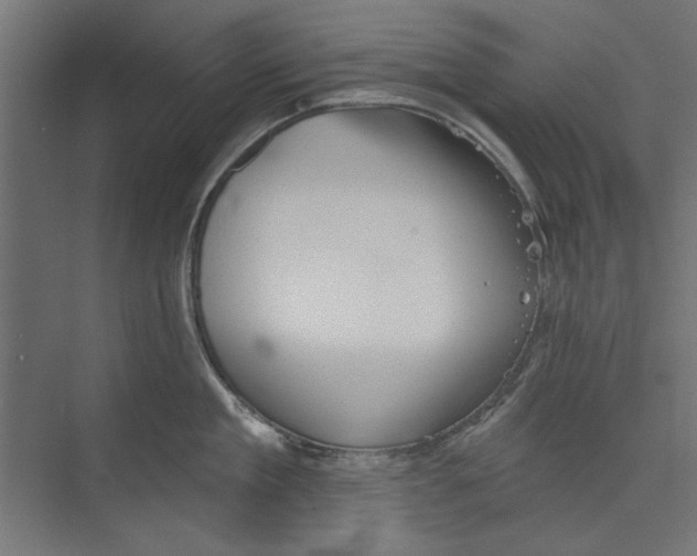 X0000073830909200609071511