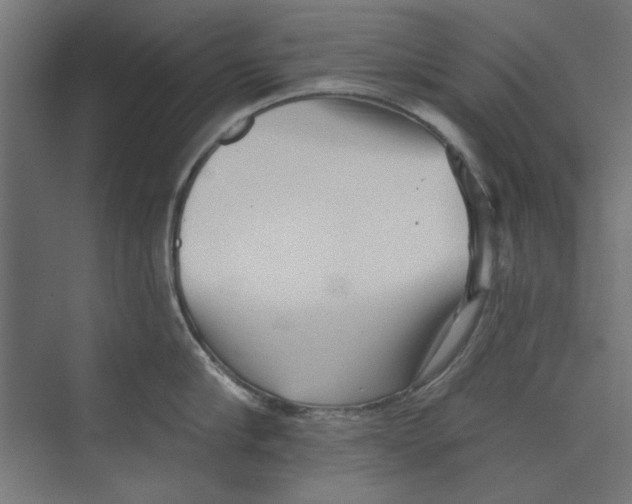 X0000073830910200609071511