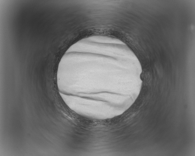 X0000073830913200609071511