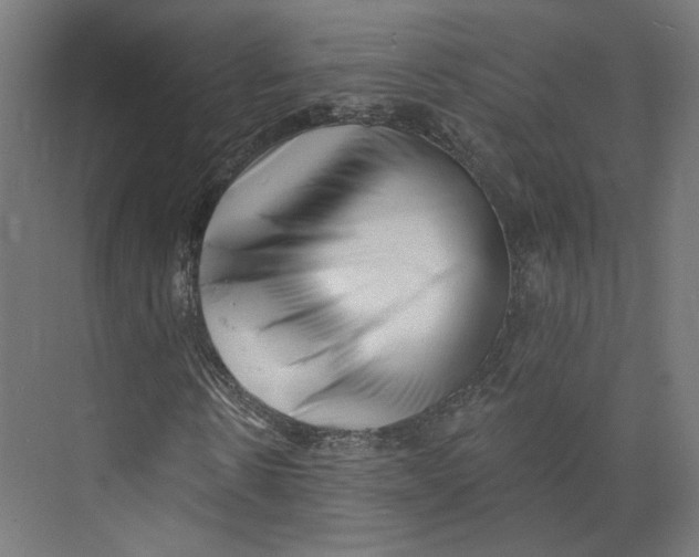 X0000073830914200609071511