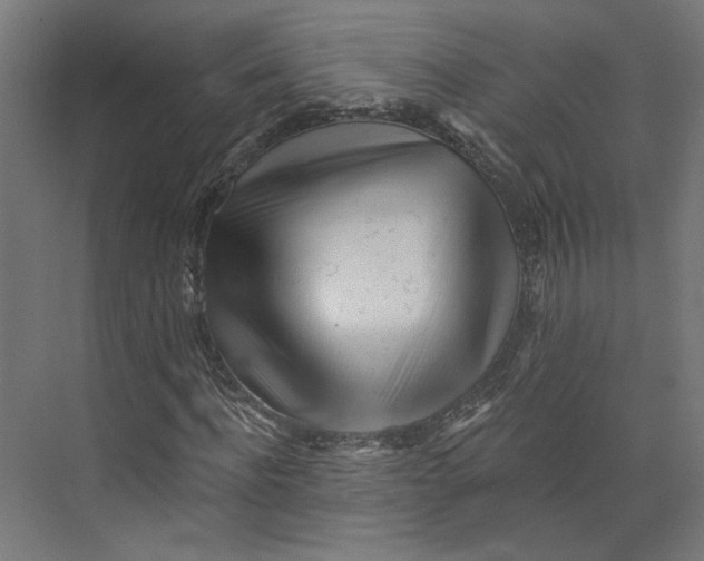 X0000073830916200609071511