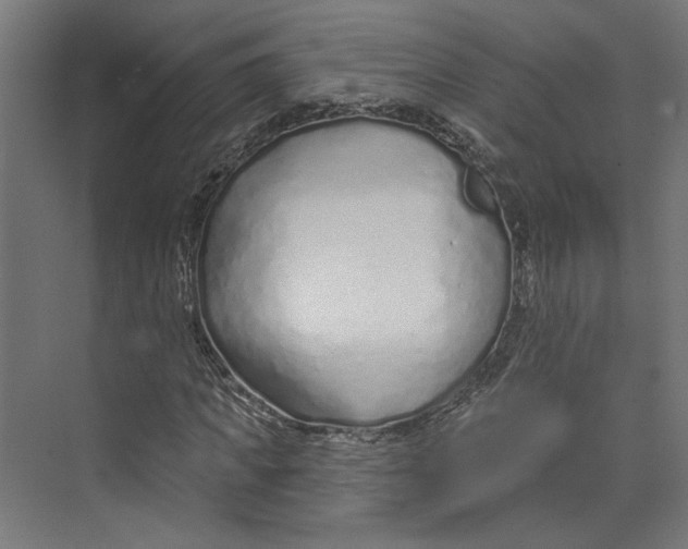 X0000073830917200609071511