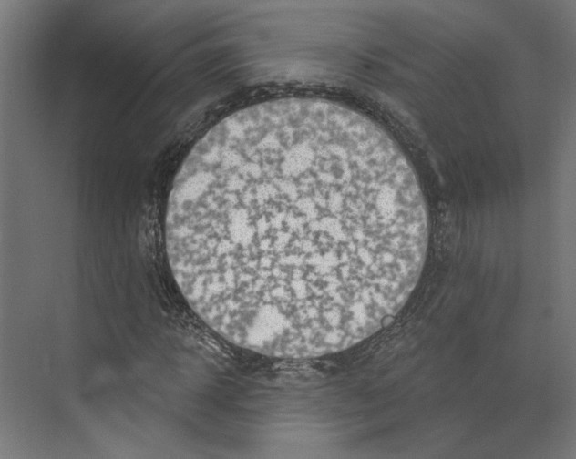 X0000073830918200609071511